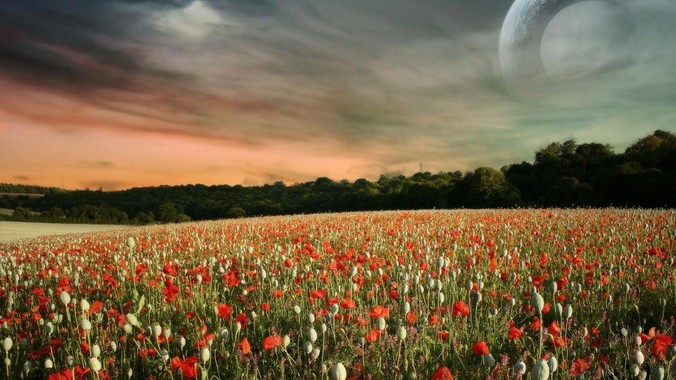 为什么 php 可以做到 7 毫秒以内响应,而 .net 做不到?